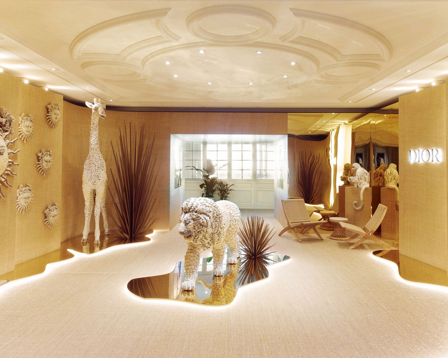 Dyson WashG1 nettoie des déchets sur le sol